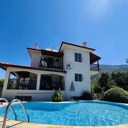 Lynste Φετιγιέ