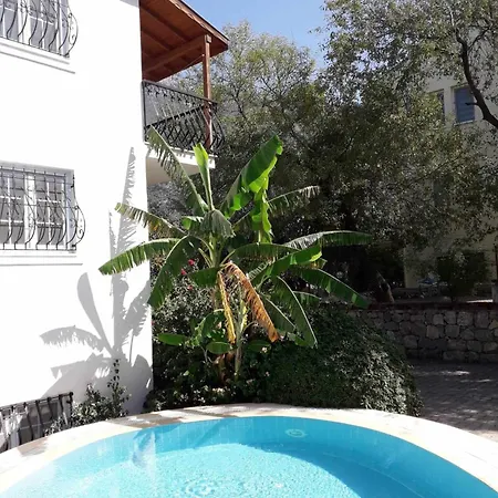 Lynste * Fethiye