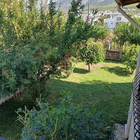 Lynste Fethiye